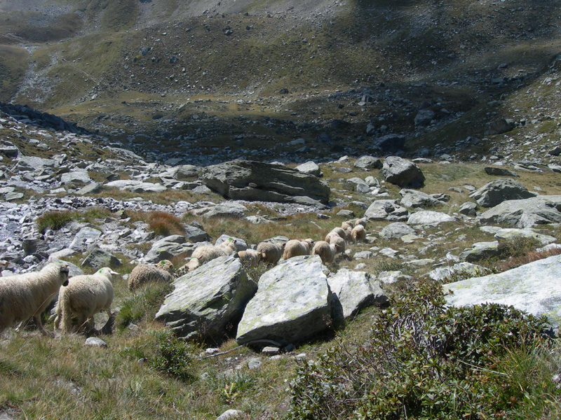 randonnee en maurienne le lac de la partie et le col de chaviere